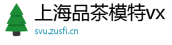 上海品茶模特vx